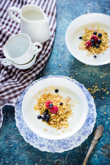 Two bowls with flakes and yoghurt.