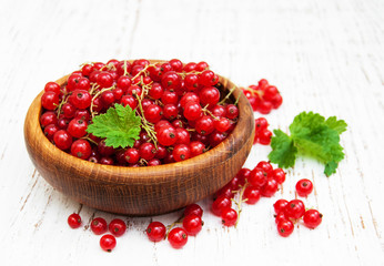 fresh red currant