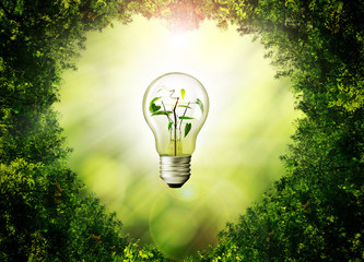 Green leaves heart in the middle lamp green background. energy concepts