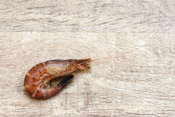 Nordseekrabbe auf Holz