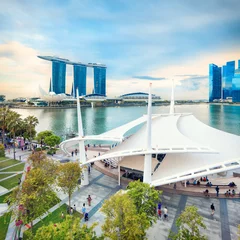Foto op Plexiglas View of central Singapore © lena_serditova
