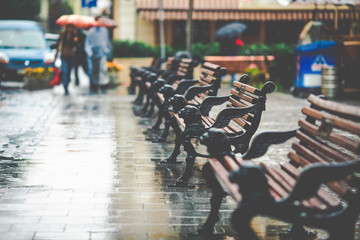 Empty benches with decorative lions stand on the wet street