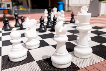 Chess great outdoors on a summer day