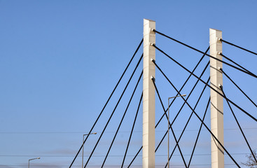 Cable-stayed bridge pylons and tree branches in Poznan.
