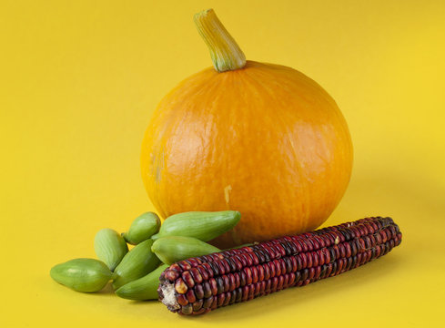 orange pumpkin achocha vegetable and corn detail