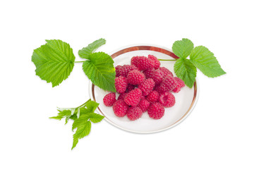 Berries of red raspberry on saucer and raspberry twig