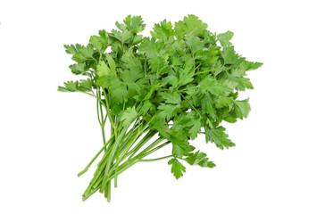 Bunch of parsley on a light background