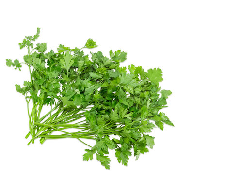Bunch of parsley on a light background