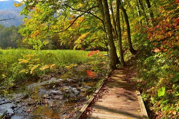 秋の奥裾花自然園