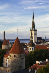 Obraz premium Tallin city view