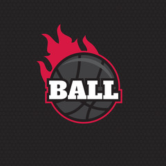 Basketball team logo