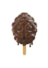 Chocolate popsicle brain / 3D illustration of brain shaped chocolate ice cream popsicle