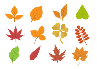Herbst / Blätter / Vektor