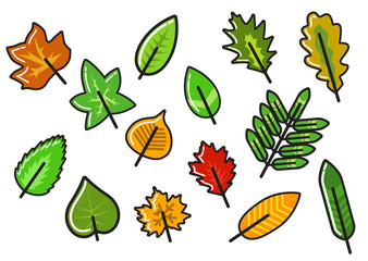 Obraz premium Herbst / Blätter / Vektor