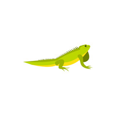 Chameleon icon in flat style on a white background