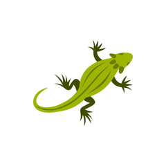 Chameleon icon in flat style on a white background