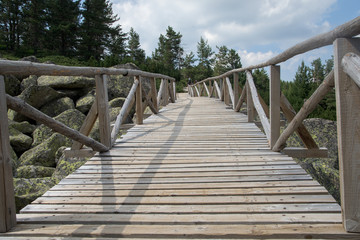 Obraz premium Wooden bridge