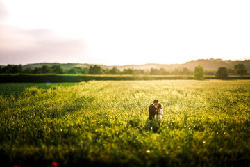 Tender lights of sunset lie over the field where newlyweds stand