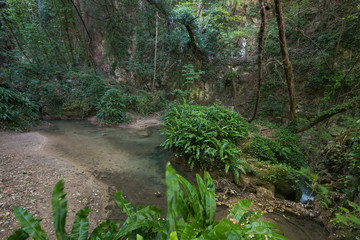 Paesaggio tropicale con fiume