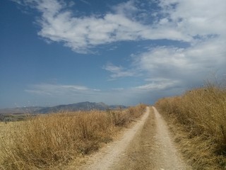 Fototapeta na wymiar Sicilian countryside