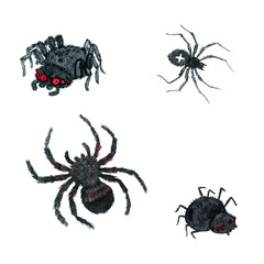 watercolor cartoon spider