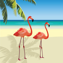 Two flamingo birds at Tropic Beach. Summer Vector Travel card. Exotic background