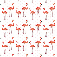 Flamingo birds pattern Vector