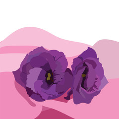 Spring Summer Purple Flowers on pink background Vector