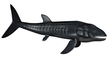 Fototapeta premium Leedsichthys prehistoric fish - 3D render