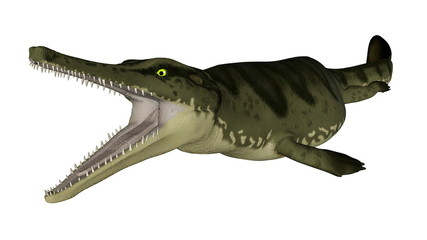 Fototapeta premium Metriorhynchus prehistoric fish - 3D render