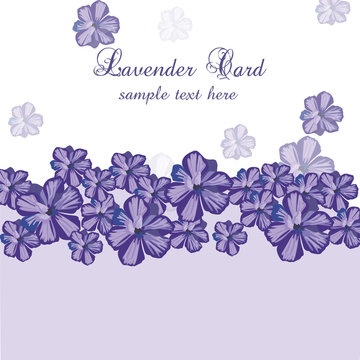 Lavender Card with flowers in watercolor paint style Vector. Gentle blossom floral bouquet. Vintage Label with lavender beautiful fragrance