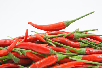 red chili pepper isolated