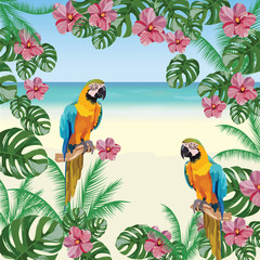Carte tropicale exotique avec oiseaux perroquets et fleurs. Illustration de fond de plage d& 39 été de vecteur