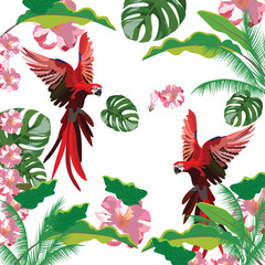 Obraz premium Exotic tropical pattern with parrot birds and flowers. Vector background illustration