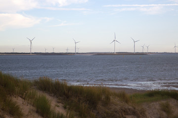 View from dunes to wind farm near Eastern Scheldt barrier, Zeeland, Netherlands