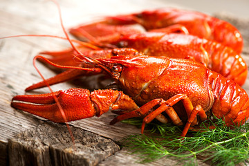 Crayfish. Red boiled crawfishes on a wooden table in rustic style