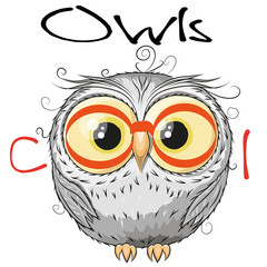 Cute Owl isolated on a white background