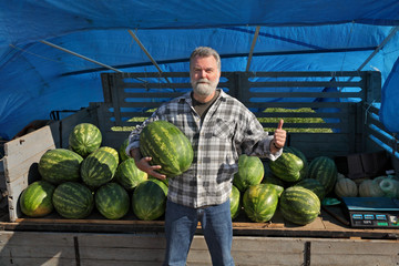 Farmer selling watermelons, and holding one,  gesturing with thumb up