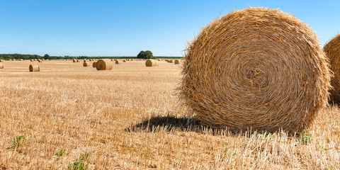 Straw bales at the Pays de la Loire, France. Hay bales on the fi