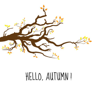 Hello, Autumn. Branch a tree in autumn, autumn tree with yellow leaves. Vector illustration.