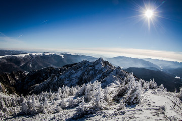 A panorama photo of winter landscape at sunset