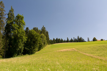 Sommer in der Natur in der Schweiz