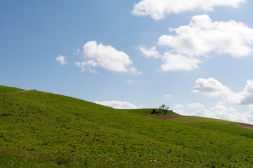 Obraz premium Sommer in der Natur in der Schweiz