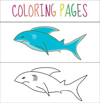 Coloring book page, shark. Sketch and color version. Coloring for kids. Vector illustration