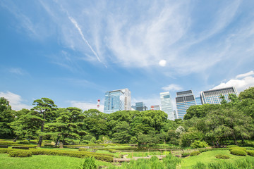 Fototapeta premium 日本庭園と高層ビル