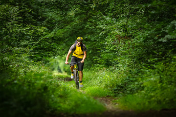 Obraz premium young mountain biker on single trail in green forest / Junger Mountainbiker auf singletrail im Wald