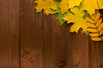 Autumn leaves over old brown wooden background with empty space