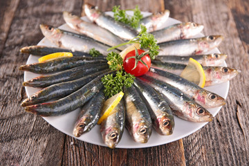 sardine