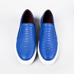 stylish blue shoes over white