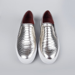 silver shoes